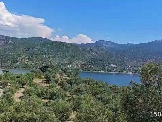 Dikili Bademli'de Deniz Manzaralı Satılık Zeytinli Tarla