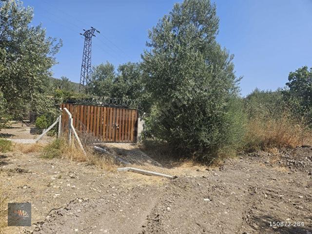 Dikili Bademli'de Köy içi 1001 m2 Satılık Arazi