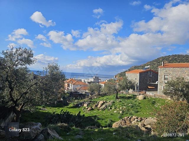 Dikili Denizköy'de Deniz Manzaralı 801 m2 Satılık Fırsat Arsa