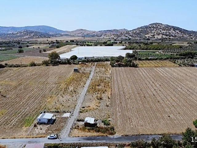 Dikili Çevre Yoluna Yakın Satılık 257 m Tarla Fırsatı!