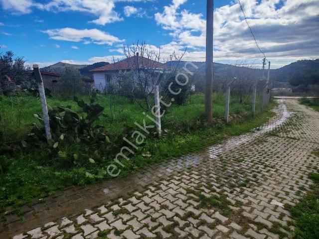 Dikili Kıroba Köyünde 590 M2 Bahçe İçinde Satılık Köy Evi