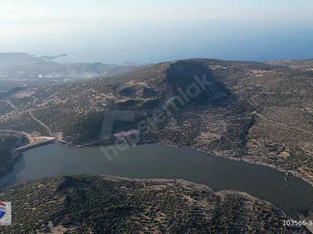 DIKILI KATIRALANI KÖYÜ'NDE ZEYTINLI TARLAYATIRIMCILAR IÇIN YÜKSEK POTANSIYEL VE ULAŞIM KOLAYLIĞI