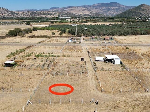 Dikilinin gözdesi İsmetpaşada yatırım ve huzur fırsatı
