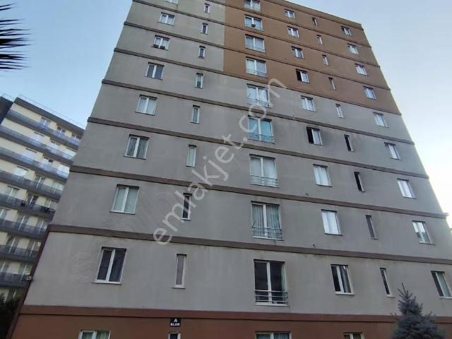 Dilan Gyo'dan Kiralık 1+1 Eşyalı Metrobüse Yakın Bekara Uygun