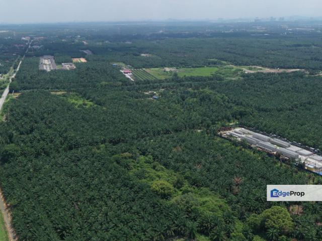 [ Direct Access | 15 Acres ] Telok Panglima Garang, Olak Lempit Agriculture land for Sale