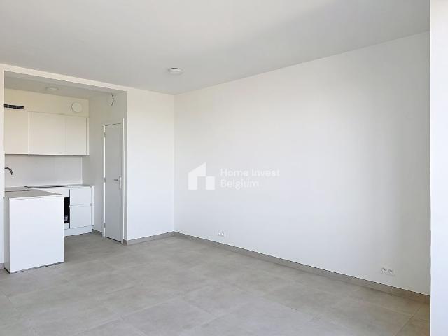 Direct from the owner BRAND NEW studio for rent