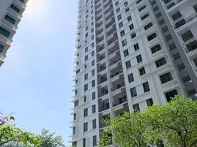 Direct Owner Tree Sparina For SALE 2026