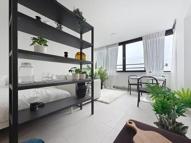 Directly with the owner furnished studio