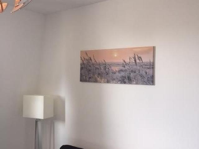 Dirk Hoogenraadstraat, The Hague Amsterdam Apartments for Rent