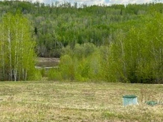 Discover This 1.04 acre Lot With Stunning Athabasca River Views