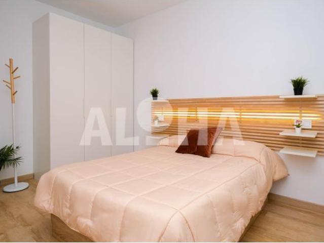 DISPONIBLE A PARTIR DEL 27 DE JULIO 2026. APARTAMENTO PARA ESTUDIANTES UNIVERSITARIOS