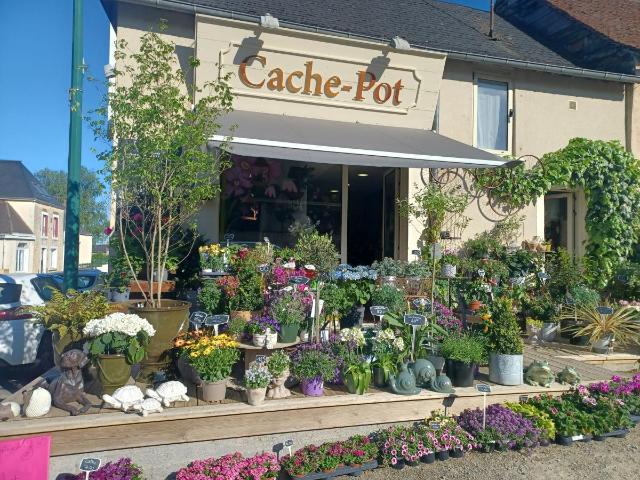 Divers à vendre à Domfront en Champagne 72240