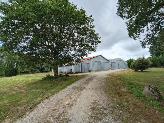 Divers à vendre à Malguénac 56300