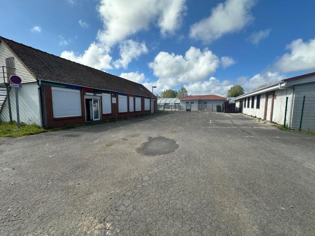 Divers à vendre à Marck 62730