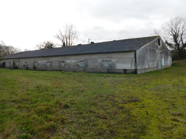 Divers à vendre à Notre Dame du Pé 72300