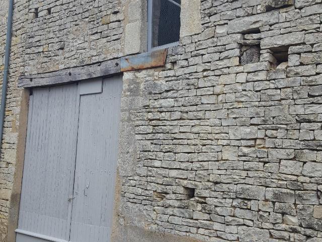 Divers à vendre à Sacy 89270