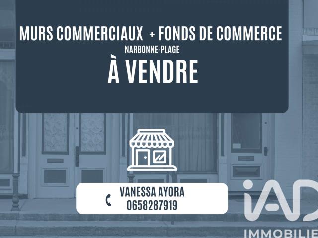 Divers ventes Narbonne plage 11