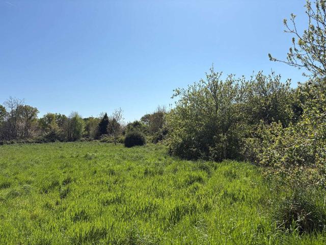 Divers ventes Bénodet 29