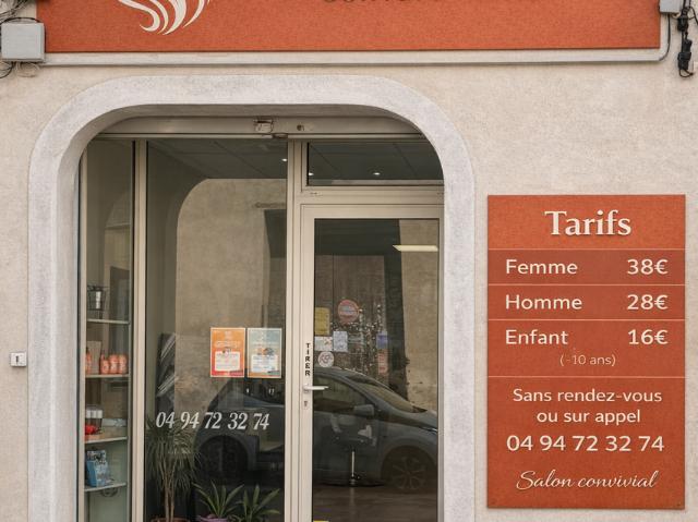 Divers ventes Flassans sur Issole 83