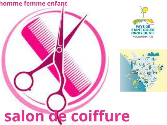 Divers ventes Givrand 85