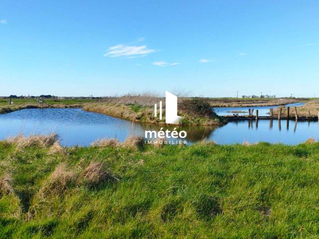 Divers ventes Jard sur Mer 85