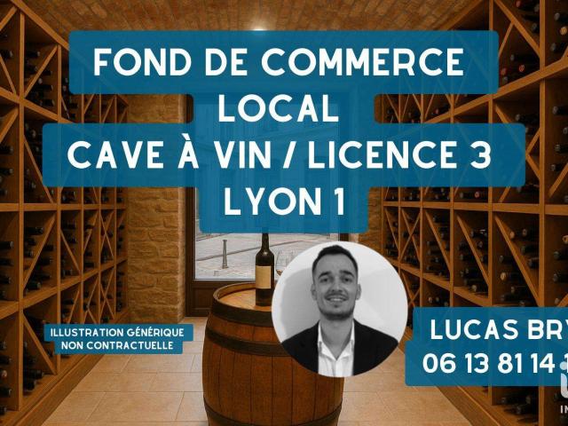 Divers ventes Lyon 1er 69