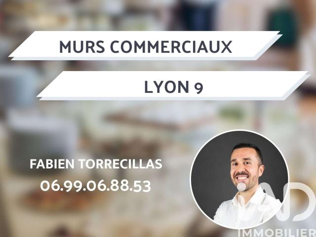 Divers ventes Lyon 9e 69