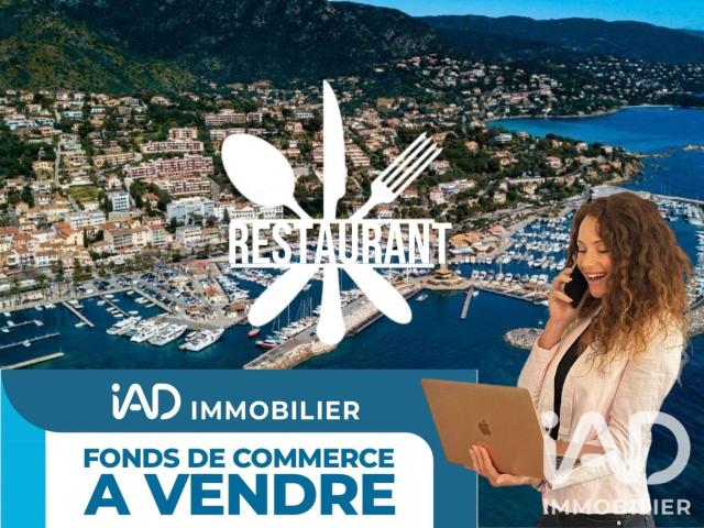 Divers ventes Le Lavandou 83