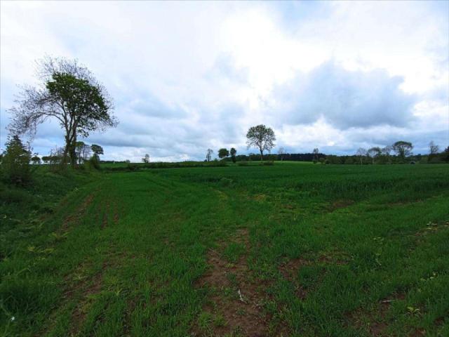Divers ventes Le Theil Bocage 14