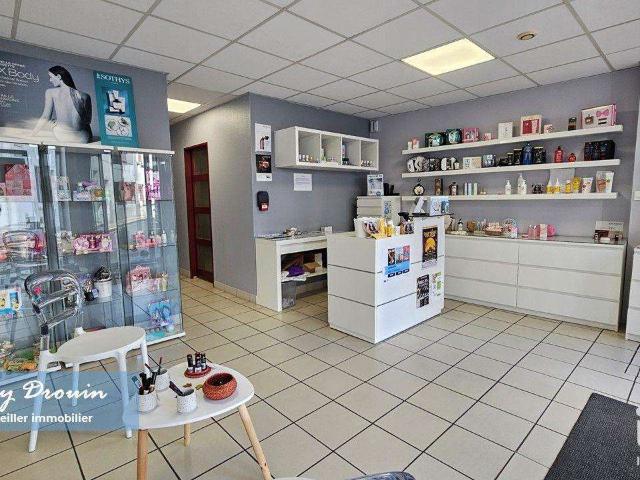 Divers ventes Puiseaux 45