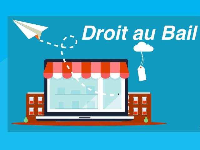 Divers ventes Rennes Centre Ville 35