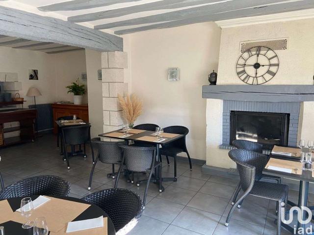 Divers ventes Sainte Maure de Touraine 37