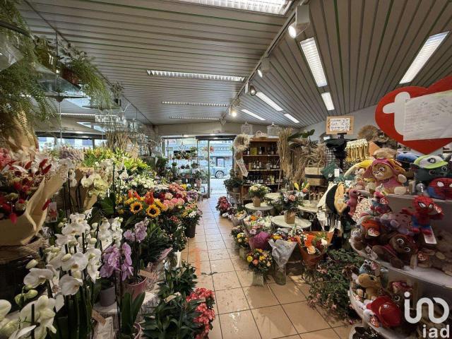 Divers ventes Soubran 17