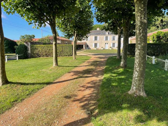 Divers ventes 20 pièces Fontenay le Comte 85