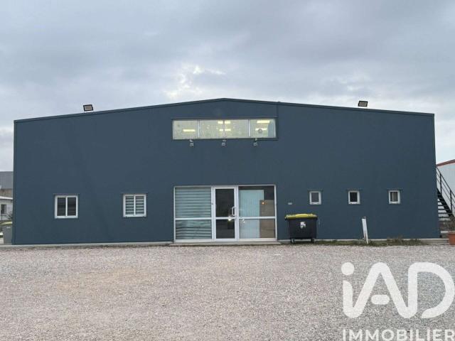 Divers ventes 5 pièces Rivesaltes 66