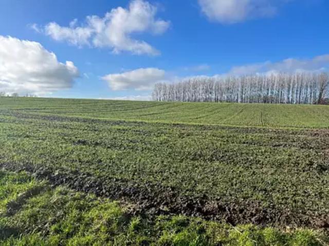 Divion 62460 Programme neuf terrain neuf à vendre