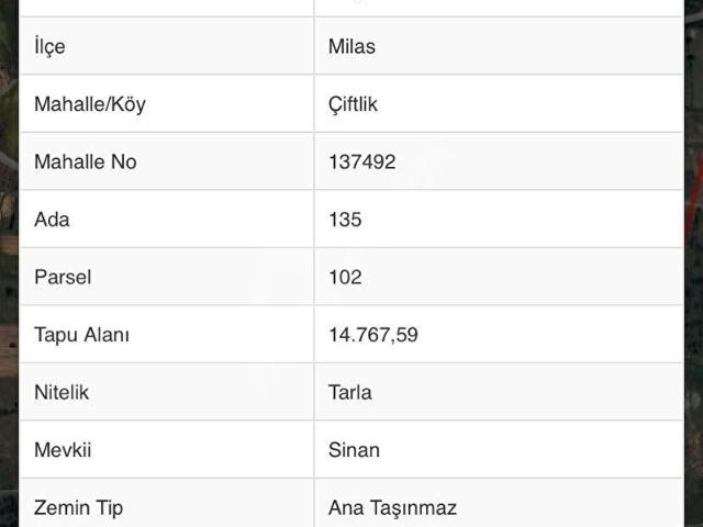 DOĞUŞ EMLAK'TAN MİLAS ÇİFTLİKTE YÜKSEK YATIRIM POTANSİYELLİ ARSA