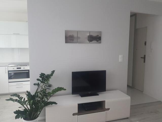 do wynajęcia apartament