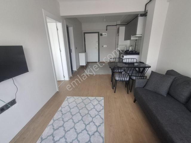 Doğalgazlı, Yerden Isıtmalı, Sıfır Eşyalı Kiralık 1+1 Daire