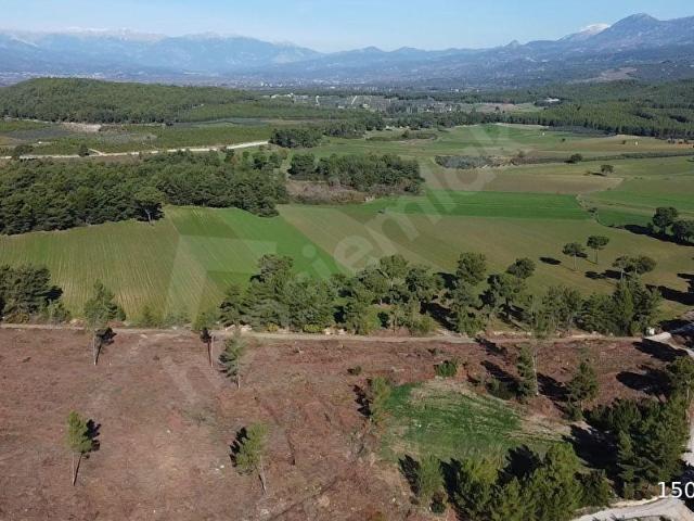 DOĞANIN KALBİNDE KAYADİBİ'NDE YOLU OLAN 1650 M2 MÜSTAKİL ARAZİ