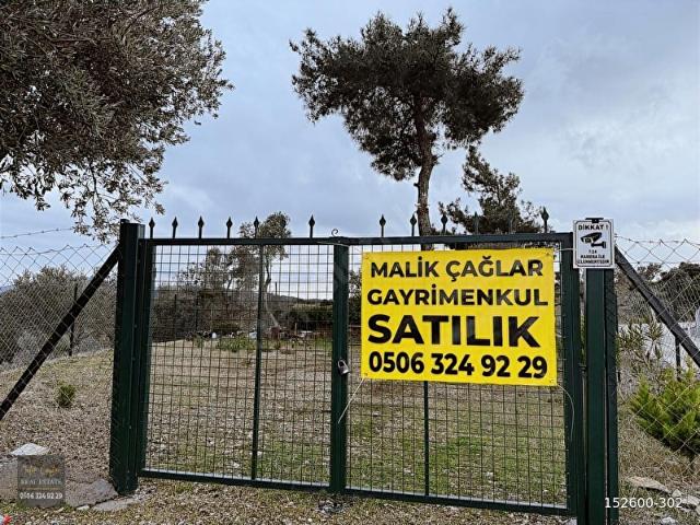 DOĞANIN KALBİNDE KUŞ SESLERİ İÇERİSİNDE 3,700 m2 ZEYTİN BAHÇESİ