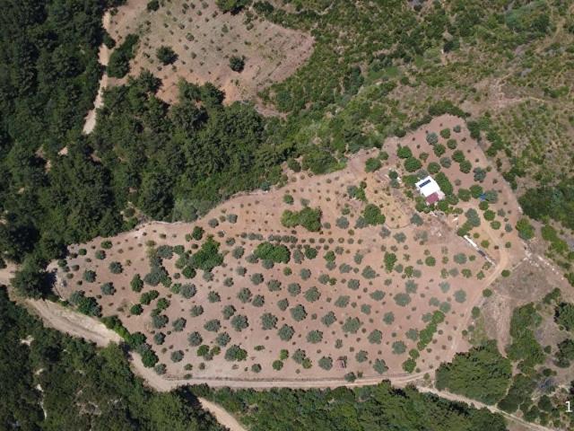 DOĞAYLA İÇ İÇE SATILIK 13.500 m2 TARLA 2 ADET KUYUSU VAR