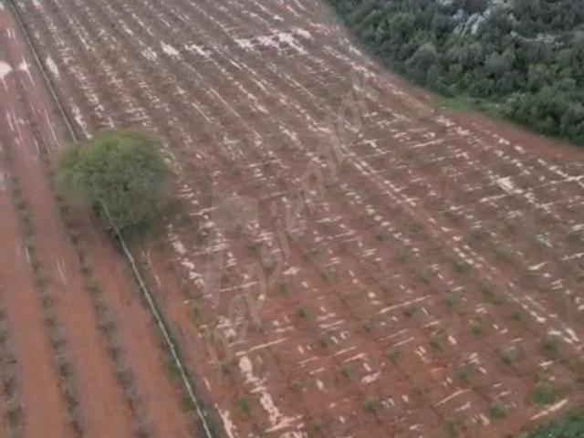Döşemealtı Karaveliler Arsa