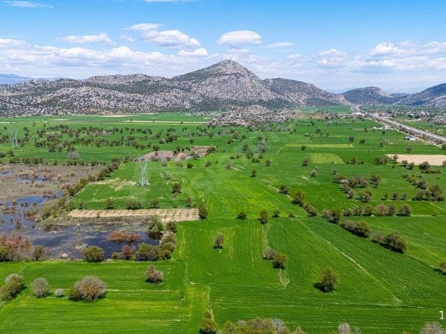DÖŞEMEALTI BAĞDEMAĞACI'NDA SATILIK 5642 M2 TEK TAPU TARLA