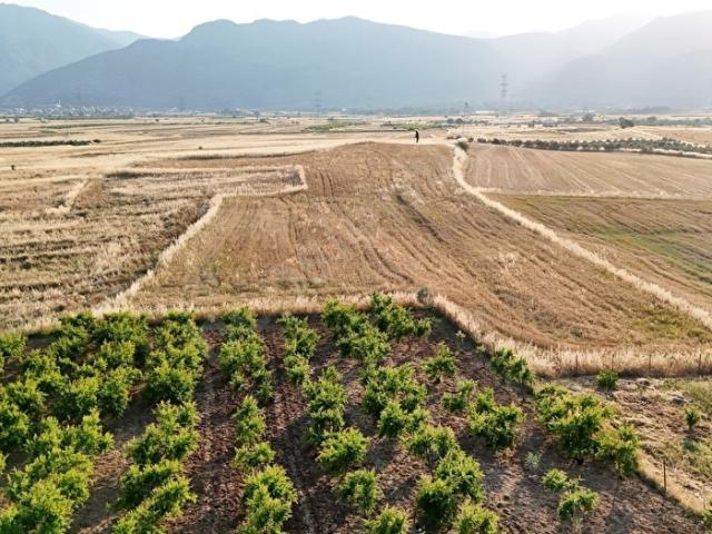 DÖŞEMEALTI KARATAŞ TA SATILIK HESAPLI 8641M2 TEK TAPU ARAZİ