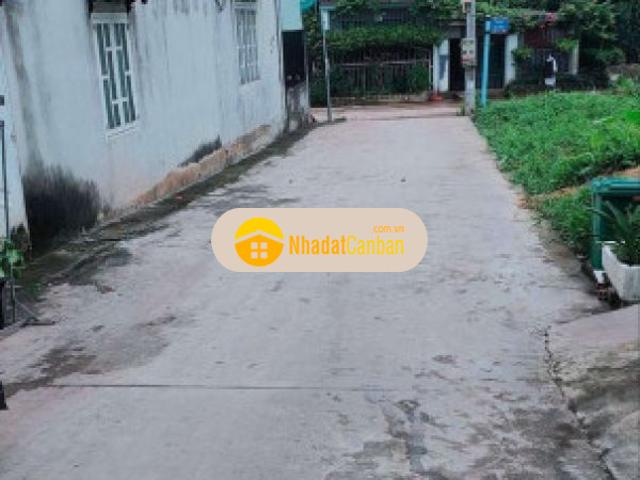 Do nhu cầu về quê bán lại căng nhà cho ai cần