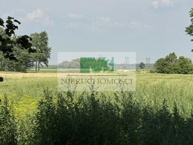 DO SPRZEDAŻY DZIAŁKA W PRZYCHOJCU