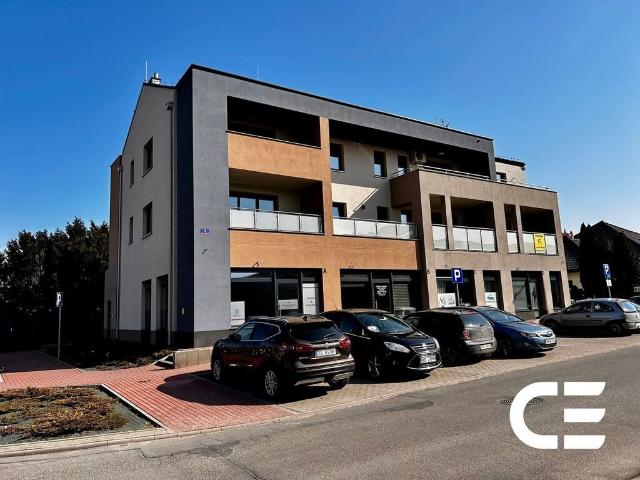 Do sprzedania ostatnie 3 pokojowe mieszkanie 67 m² w Oleśnicy