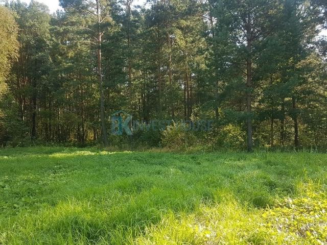 Do sprzedania działka 1692 m² w Ludwinowie z mediami