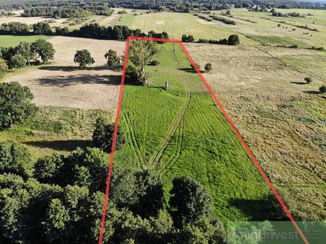 Do sprzedania działka 19 490 m² w Żarnowie z potencjałem zabudowy